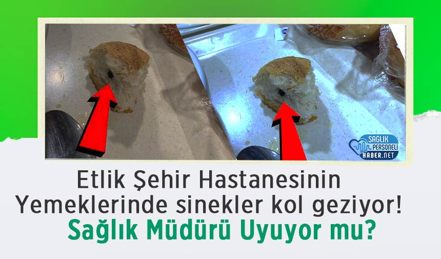 hastane-yemegi-sinek.jpg