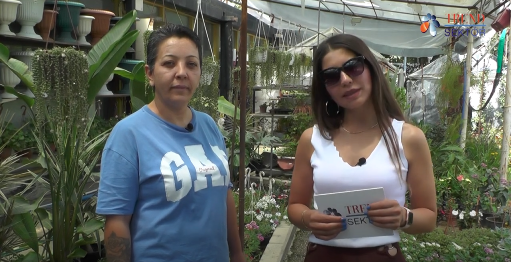 efe peyzaj ve çiçekçilik