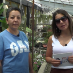 efe peyzaj ve çiçekçilik