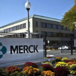 merck-sgum_cover.jpg