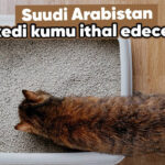 suud-ihracat-guhj_cover.jpg