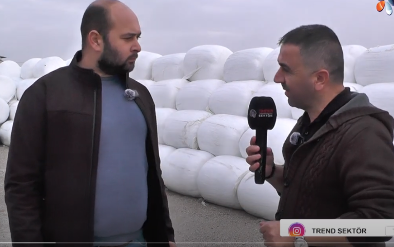 Ekran görüntüsü 2024-01-12 181639