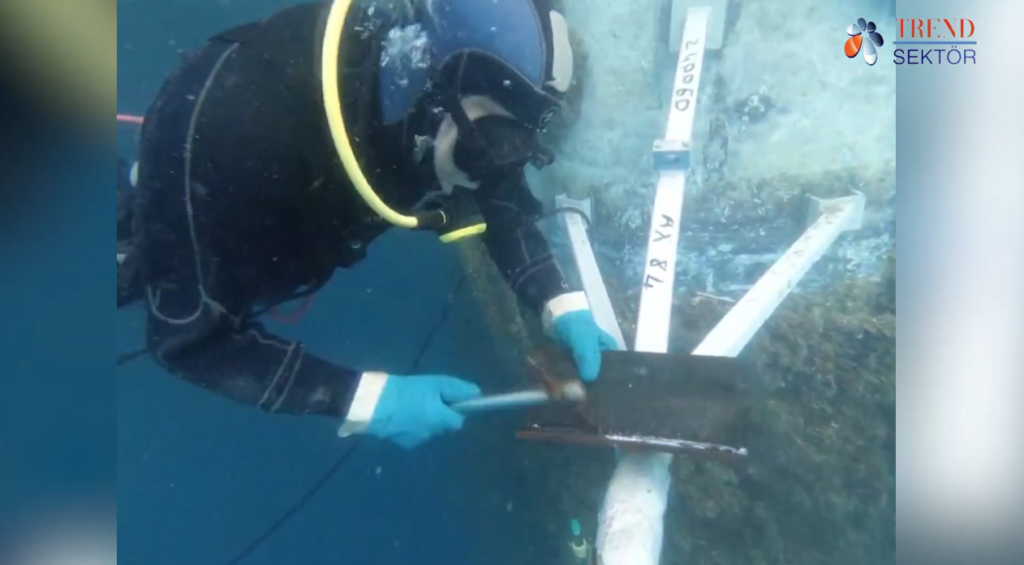 BLUE DEEP GRUP DENİZCİLİK