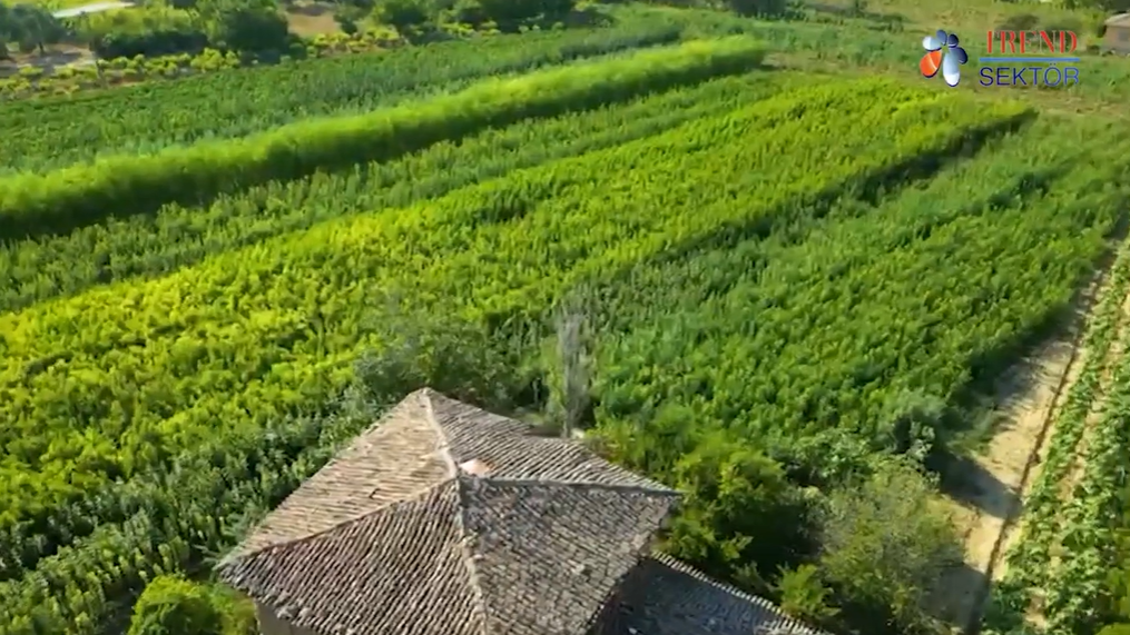 GİRGİN FİDANCILIK