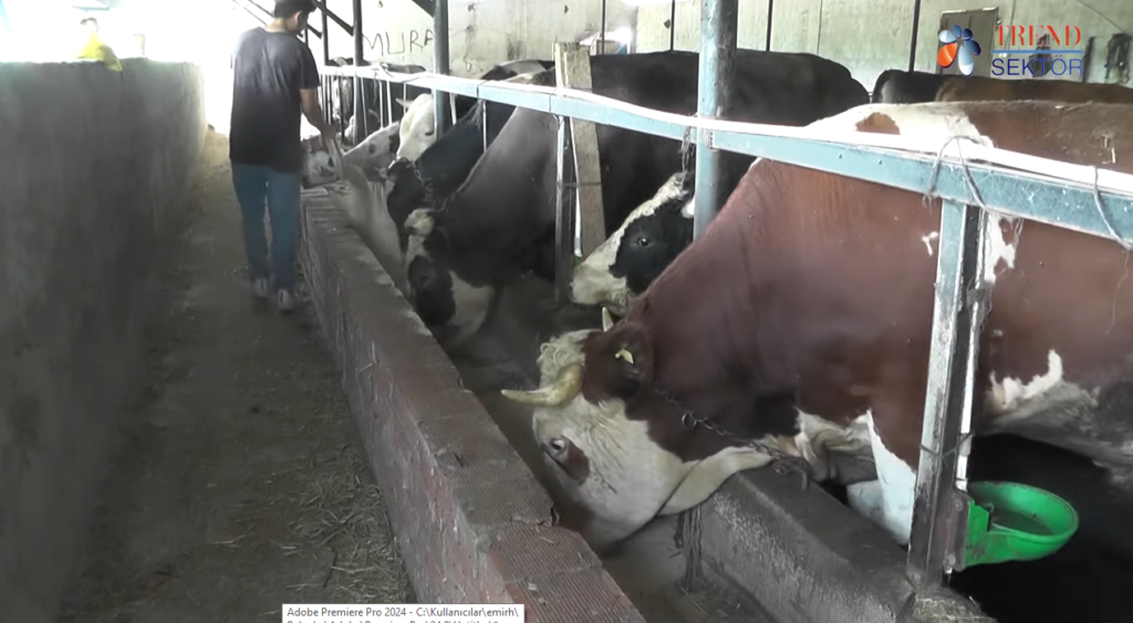 İMREN BESİ ÇİFTLİĞİ