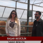 (7) ALBATROSS OTEL - TREND SEKTÖR - YouTube - Google Chrome 18.04.2025 14_23_45