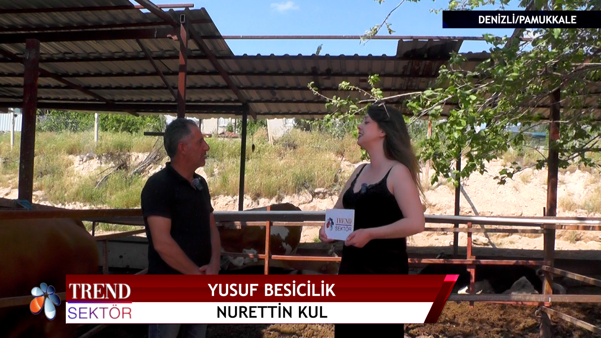 YUSUF BESİCİLİK - DENİZLİ